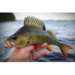 Ripper REDBASS SWIMMER L - 90 mm