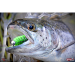 TROUT GRUB L 3 x 25 mm REDBASS