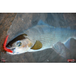 Worm/Minnow REDBASS WORMETO 77 mm