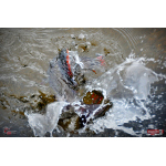 Worm/Minnow REDBASS WORMETO 77 mm