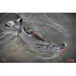 Worm/Minnow REDBASS WORMETO 77 mm
