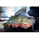 Worm/Minnow REDBASS WORMETO 77 mm