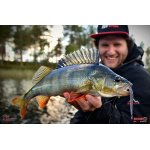 Worm/Minnow REDBASS WORMETO 77 mm