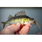 Worm/Minnow REDBASS WORMETO 77 mm