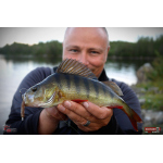 Worm/Minnow REDBASS WORMETO 77 mm
