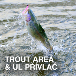 TROUT AREA & UL