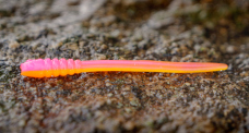 MICRO TAIL XS - 35 mm REDBASS