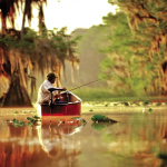 Trolling Motor MinnKota Endura C2