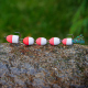 Red/White (110)