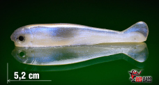 Micro Minnow SSF 2