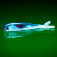 Micro Minnow SSR 2 - 55 mm