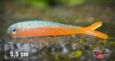Micro Minnow SSR 2