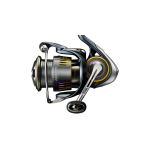 Special set DAIWA for ZANDER/PERCH "EXCLUSIVE 2026"