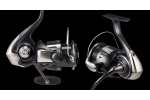 Daiwa 25 Ballistic HD LT