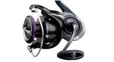 Daiwa 25 Prorex MQ LT
