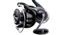 Daiwa 25 Prorex MQ LT