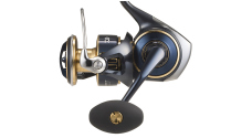 Daiwa 25 Saltiga