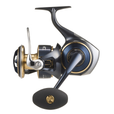 Daiwa 25 Saltiga