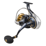 Daiwa 25 Saltiga