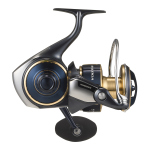 Daiwa 25 Saltiga