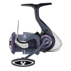 Daiwa 25 Prorex V LT