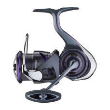 Daiwa 25 Prorex MQ LT