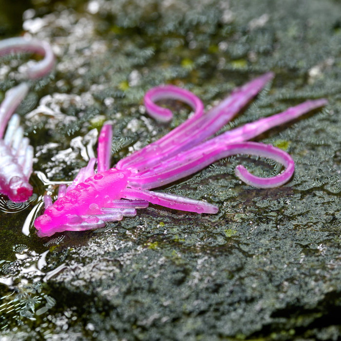 Nymph REDBASS Nr. 1 S - 53 mm - 1 pcs Nymph REDBASS Nr. 1 S - 53 mm - 1 pcs