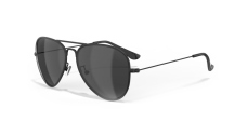 Polarized Sunglasses Leech ATW1 black