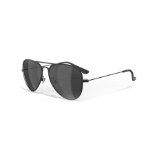 Polarized Sunglasses Leech ATW1 black