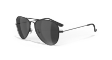 Polarized Sunglasses Leech ATW1 black