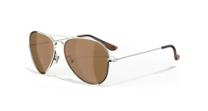 Polarized Sunglasses Leech ATW1 copper