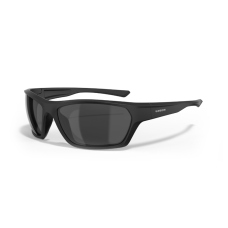 Polarized Sunglasses Leech ATW2 black