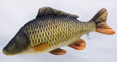 Pillow – Common Carp – 100 cm Pillow – Common Carp – 100 cm