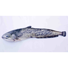 Pillow – Catfish – 200 cm