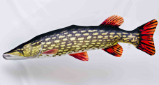 Pillow – Pike – 200 cm Pillow – Pike – 200 cm