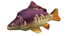 Pillow – Mirror Carp mini – 35 cm