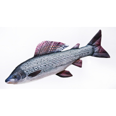 Pillow – Grayling – 65 cm