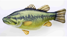 Pillow – Largemouth Bass – 67 cm