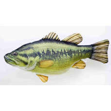 Pillow – Largemouth Bass – 67 cm