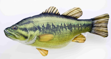 Pillow – Largemouth Bass – 67 cm Pillow – Largemouth Bass – 67 cm