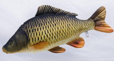 Fish pillow Carp - lenght 64 cm Fish pillow Carp - lenght 64 cm
