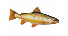 Fish pillow THE BROWN TROUT - 62 cm Fish pillow THE BROWN TROUT - 62 cm