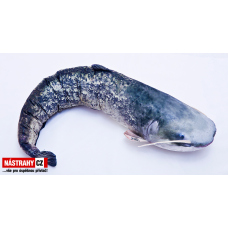 Fish pillow CATFISH - 110 cm