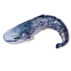 Fish pillow CATFISH - 110 cm