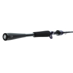 Rod Daiwa Prorex AGS Baitcast