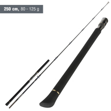 Rod Daiwa Saltiga Stick'n Pop 2026