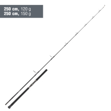 Rod Daiwa Outrage SW 2027