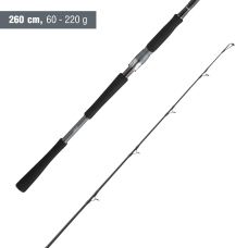 Spinning rod Daiwa Pro Monster Cat Spin 2027