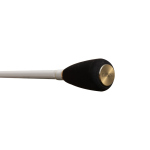 Delphin Calypso Ultralight Spin
