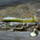 BLISTR 4 pcs - OLIVE/SILVER +0.00 €